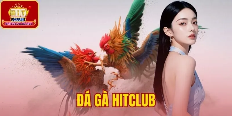 Đá Gà Hitclub