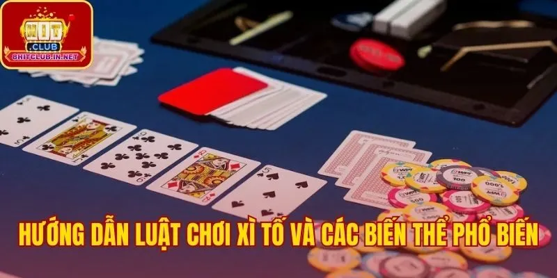 Mẹo chơi thực chiến và so sánh các biến thể Xì Tố