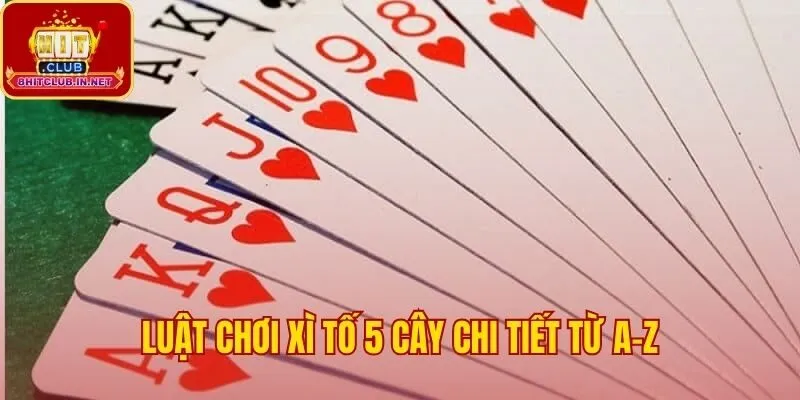 Phân tích luật chơi 5 cây từ thứ hạng bài đến vòng cược
